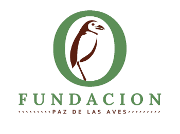 FP Logo Cuadrado Transparente